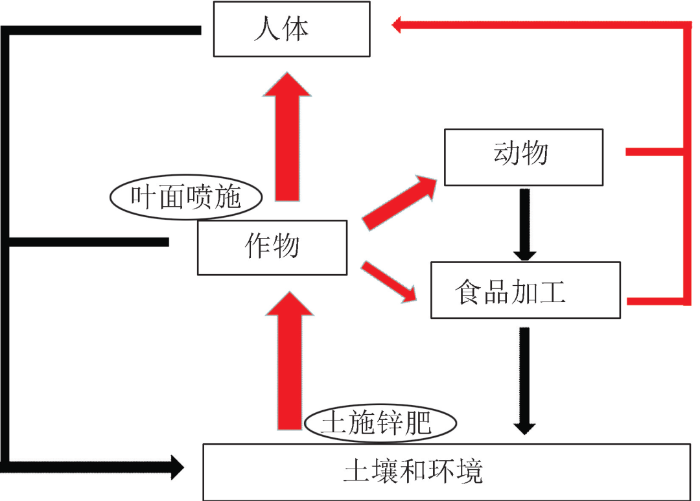 3.png 3.png