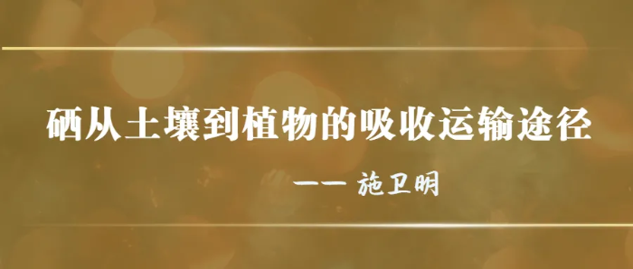 硒 文章图 硒 文章图